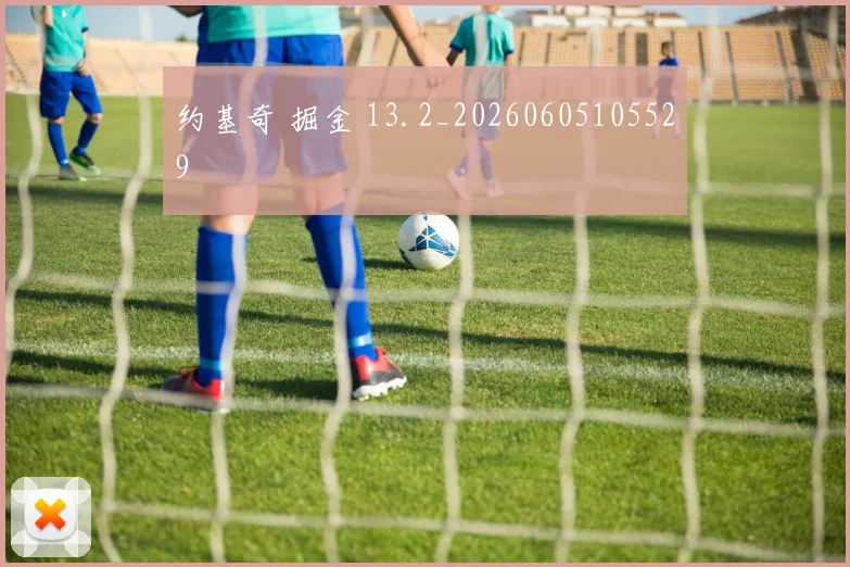 约基奇 掘金 13.2_20260605105529