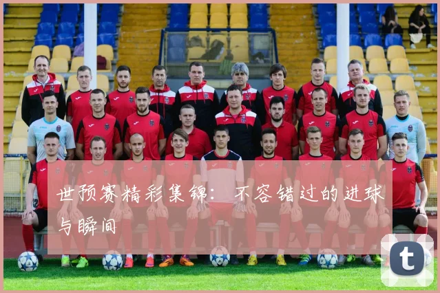 世预赛精彩集锦：不容错过的进球与瞬间