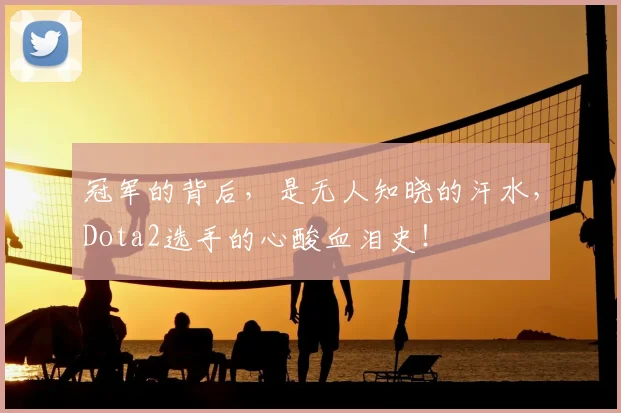 冠军的背后,是无人知晓的汗水,Dota2选手的心酸血泪史!