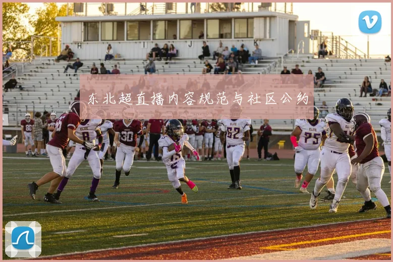 东北超直播内容规范与社区公约