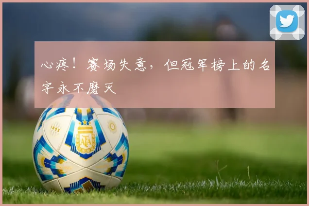 心疼!赛场失意,但冠军榜上的名字永不磨灭
