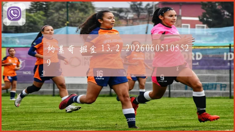 约基奇 掘金 13.2_20260605105529