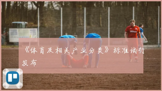 《体育及相关产业分类》标准试行发布