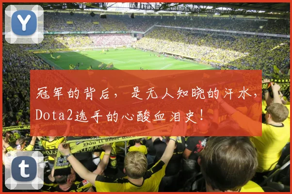 冠军的背后，是无人知晓的汗水，Dota2选手的心酸血泪史！