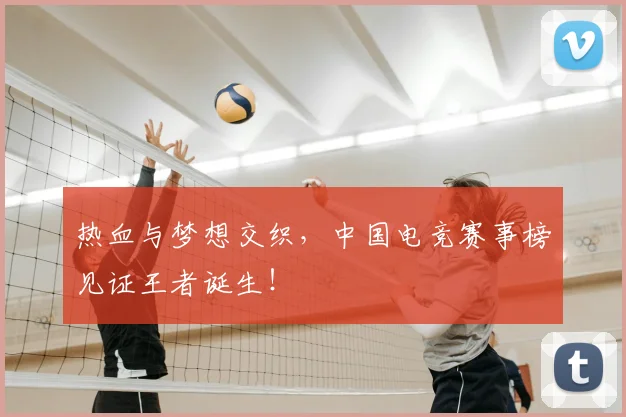 热血与梦想交织，中国电竞赛事榜见证王者诞生！